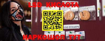PSILOCYBIN Новодвинск
