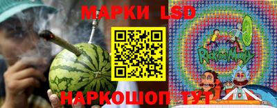 спиды Новозыбков